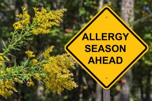 A Caution sign that says Allergy Season Ahead