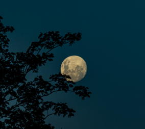 Pregnancy Old Wives' Tale #2: The Full Moon Effect: Fact or