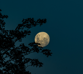 Pregnancy Old Wives' Tale #2: The Full Moon Effect: Fact or Fiction? - Kamm  McKenzie OBGYN